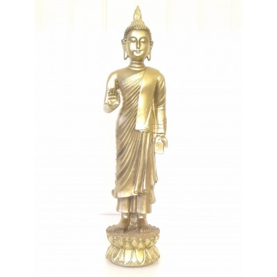 Grand bouddha debout protection or